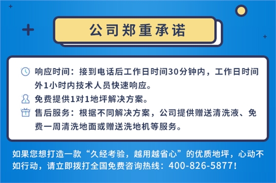 公司承诺